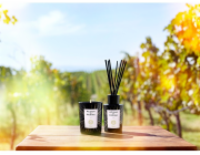 NoName ACQUA DI PARMA Meets Luce Tenuta Luce Toscana vonný difuzér s rákosím 180ml