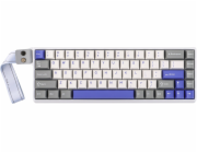 Aula Klávesnice Win68 HE WingChun Switch (AUW68-WGB-WC)