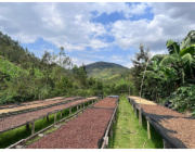 NoName RWANDA MUHABURA ROYAL ROBUSTA OMNIROAST zrnková káva 1kg