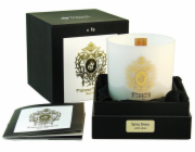 Tiziana Terenzi Vonná svíčka Spicy Snow 170g