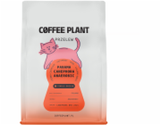 Coffee Plant Kávová zrna Panama Canephora Anaerobní filtr 200 g