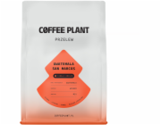 Story Coffee Roasters COFFEE PLANT - Guatemala San Marcos kávová zrna filtrovaná 250 g
