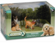 Collecta COLLECTA figurka SADA 4 KOČEK V BALENÍ