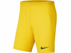 Nike Kraťasy JR Park III Knit 719, délka 164 cm (BV6865-719)