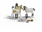 Schleich Horse Club Sarah s Erste-Hilfe-Set