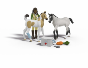Schleich Horse Club Sarah s Erste-Hilfe-Set
