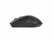 ASUS WT425/Ergonomická/Optická/Pro praváky/1 600 DPI/Bezdrátové USB/Stříbrná