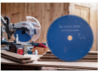Bosch PILOVÝ KOTOUČ EX WO B 305x30-42