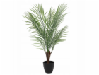 NoName Umělá palma NOVA, 50 x 85 cm