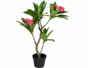 Kaemingk Umělý květináč s frangipáni, 50 x 90 cm