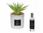 Atmosphera Umělá rostlina s vonným olejem PUNCHY CACTUS