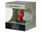 Mojo Kardinál červený v krabičce