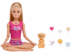 Mattel Panenka Barbie Made To Move - Interaktivní meditac...