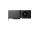HP VGA NVIDIA RTX PRO 2000 Blackwell 16 GB 4mDP Graphics