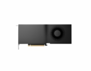 HP VGA NVIDIA RTX PRO 2000 Blackwell 16 GB 4mDP Graphics