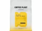 Coffee Plant Kávová rostlina Espresso Colombia Finca Los ...