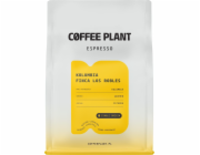 Coffee Plant Kávová rostlina Espresso Colombia Finca Los Robles 250 g kávových zrn