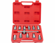 Silver Sada stříbrných klíčů na olejové zátky, 12 dílů (10483)