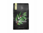 Coffee Plant Kávová zrna Kávová rostlina Guatemala Maková...