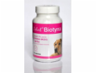 Dolfos DOLFOS BIOTIN* 90 tablet