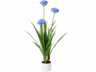 Lumarko Velká umělá květina v květináči, Agapanthus, 70 x...
