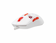 Baracuda BGM-092 Seal White