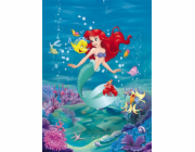 KOMAR Fototapeta Ariel Singing 4-4020, 184 cm x 254 cm