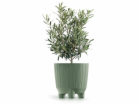 Hrnec Prosperplast Ryfo, plast, H 12,6 cm, zelený