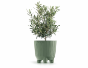 Hrnec Prosperplast Ryfo, plast, H 12,6 cm, zelený