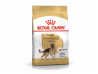 ROYAL CANIN German Shepherd Adult – suché krmivo pro dosp...