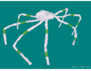 Halloween velký pruhovaný pavouk