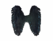 Křídla s černým peřím