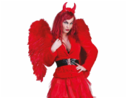 Křídla s červeným peřím