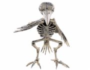 Halloween kostra ptáka