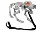 Halloween štěkající kostra psa, 32 cm