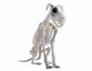 Halloween psí kostra