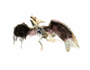 Halloween kostra draka, 90 cm 