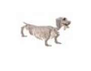 Halloween kostra jezevčíka