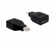 DeLOCK adaptér DisplayPort mini na DisplayPort