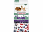 VERSELE LAGA Complete Crock Berry - pamlsek pro hlodavce ...