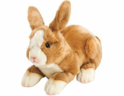Suki feny Bunny