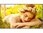 LG Electronics 55UL5Q-E 500cd/m2 UHD velkoformátový monit...