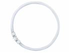 Osram Leuchtstoff Ringlampe T5 FC55W 865 2GX13 Circular