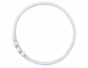 Osram Leuchtstoff Ringlampe T5 FC55W 865 2GX13 Circular