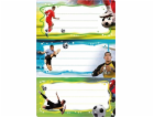 Herma HERMA Vario školní štítky fotbal lesklý