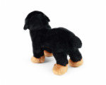 6796290