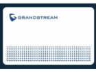 Grandstream RFID 125kHz Card - bundle 100 ks