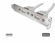 Digitus záslepka slotu s 2 USB porty + kabel 2x5pin 0,25m