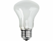 Elinchrom zarovka 196V/100W  E 27