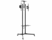 Neomounts PLASMA-M1700E / Mobile Flat Screen Floor Stand (height: 154-170 cm) / Black